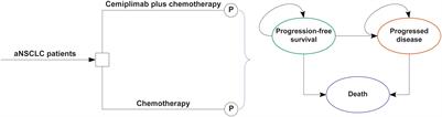 Cost-effectiveness of cemiplimab plus chemotherapy versus chemotherapy for the treatment of advanced non-small cell lung cancer